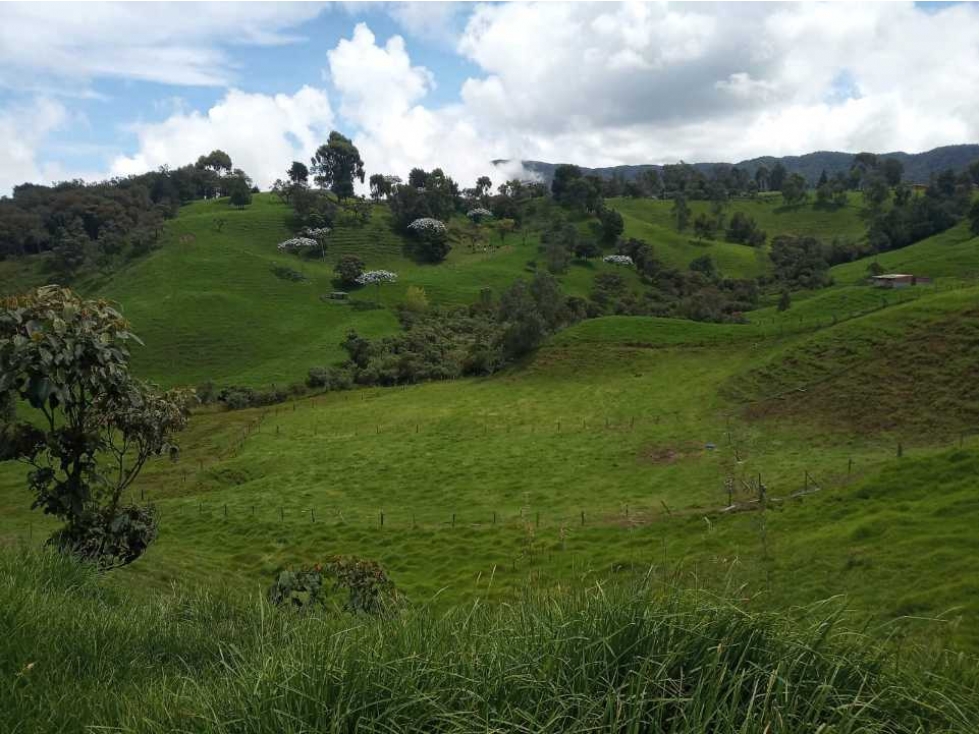 VENTA DE LOTES EN SAN PEDRO DE LOS MILAGROS