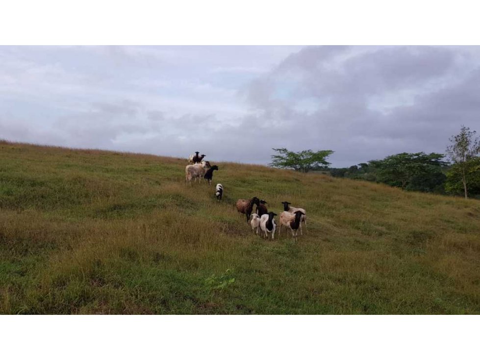 Venta Finca en Baranoa Atlantico