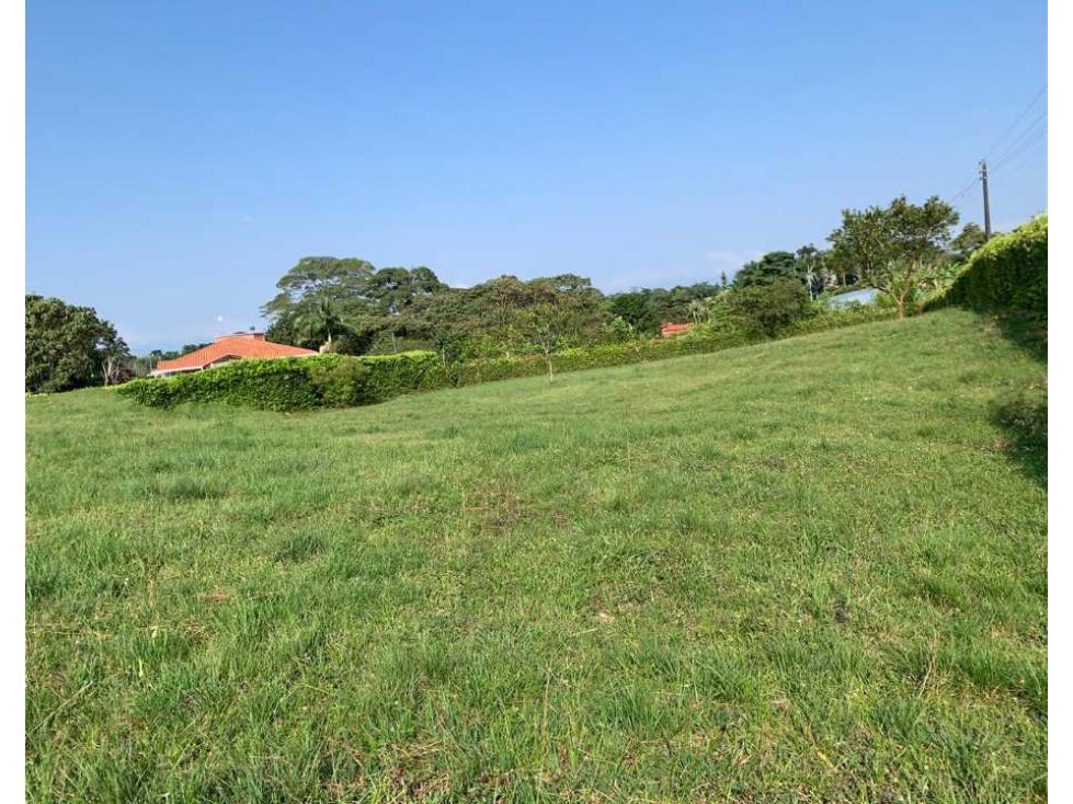 Venta Hermoso Lote Campestre -  vía cerritos