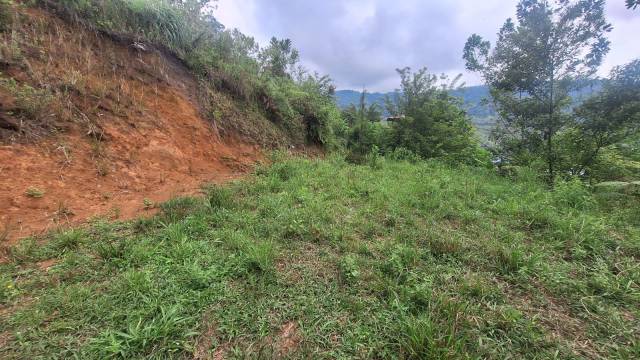 Venta de lote campestre vía Chinchiná Marsella