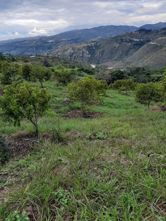 Venta de Finca en Zapatoca vereda La Cacica
