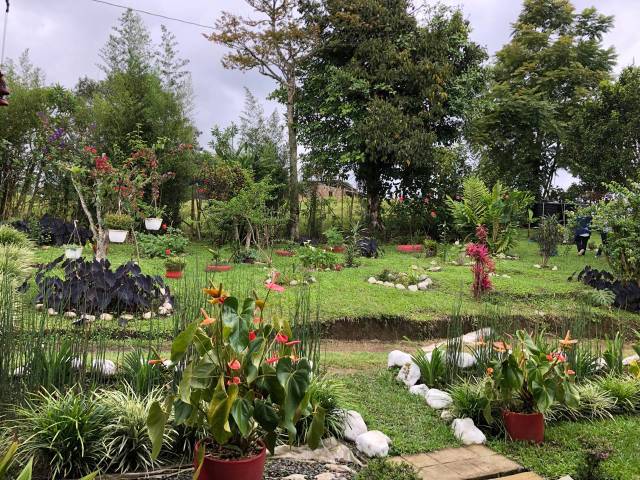 OPORTUNIDAD FINCA EN FILANDIA QUINDIO